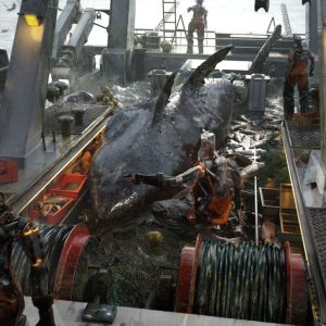 ©bart-tchorzewski-1-copy (1)