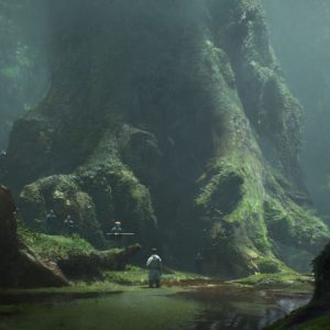 ©eytan-zana-forest-5 (1)