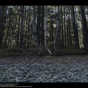 ©lea-pinto-jibaro-pinto-lea-1 (1)