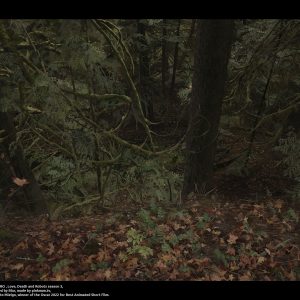 ©lea-pinto-jibaro-pinto-lea-9