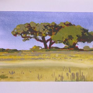 ©tomas-osang-muir-15 (1)