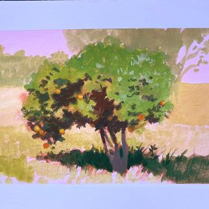 ©tomas-osang-muir-2 (1)