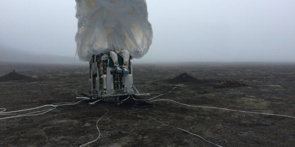 ©Vilius Petrauskas - Dear presidents